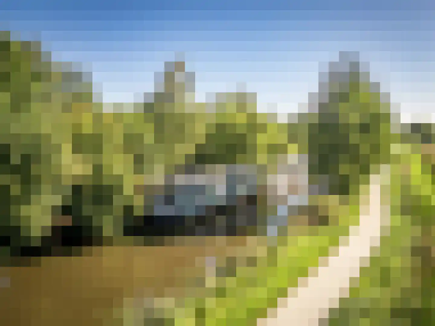 De Rietlanden 1 f Giethoorn thumbnail 52