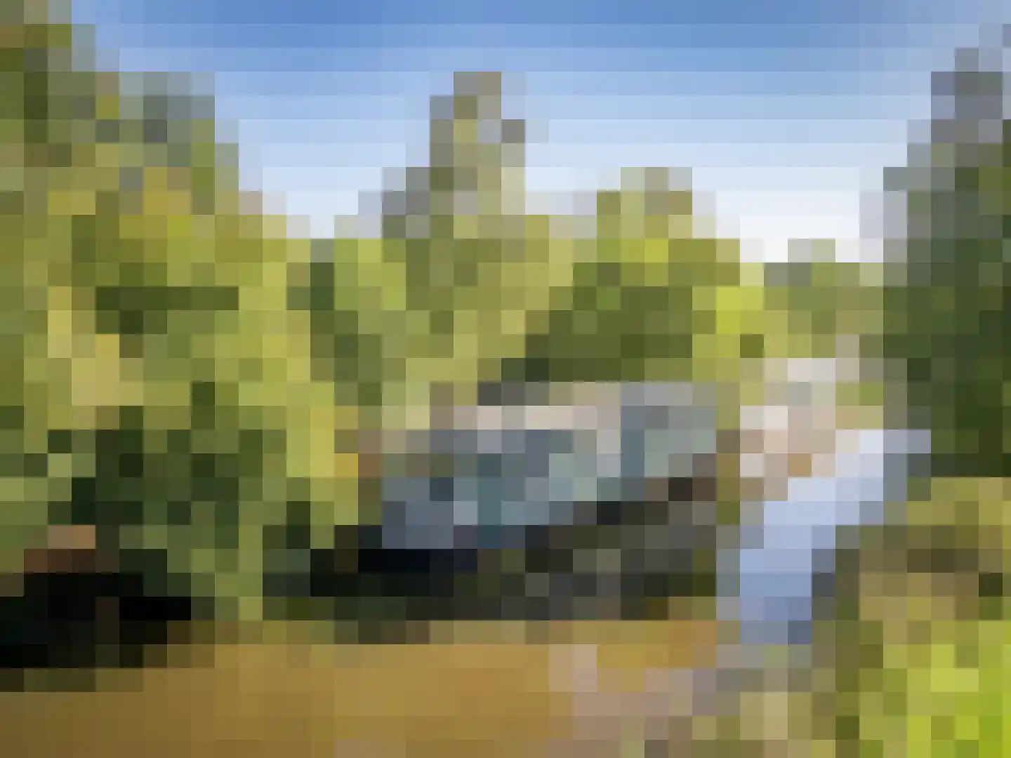 De Rietlanden 1 f Giethoorn thumbnail 53