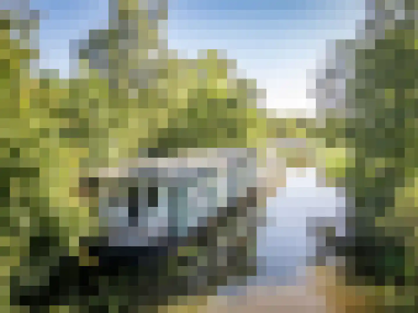 De Rietlanden 1 f Giethoorn thumbnail 55