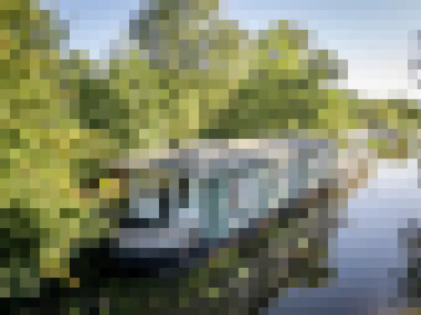 De Rietlanden 1 f Giethoorn thumbnail 56