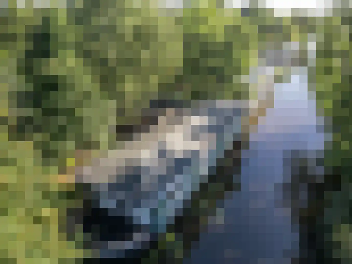 De Rietlanden 1 f Giethoorn thumbnail 57