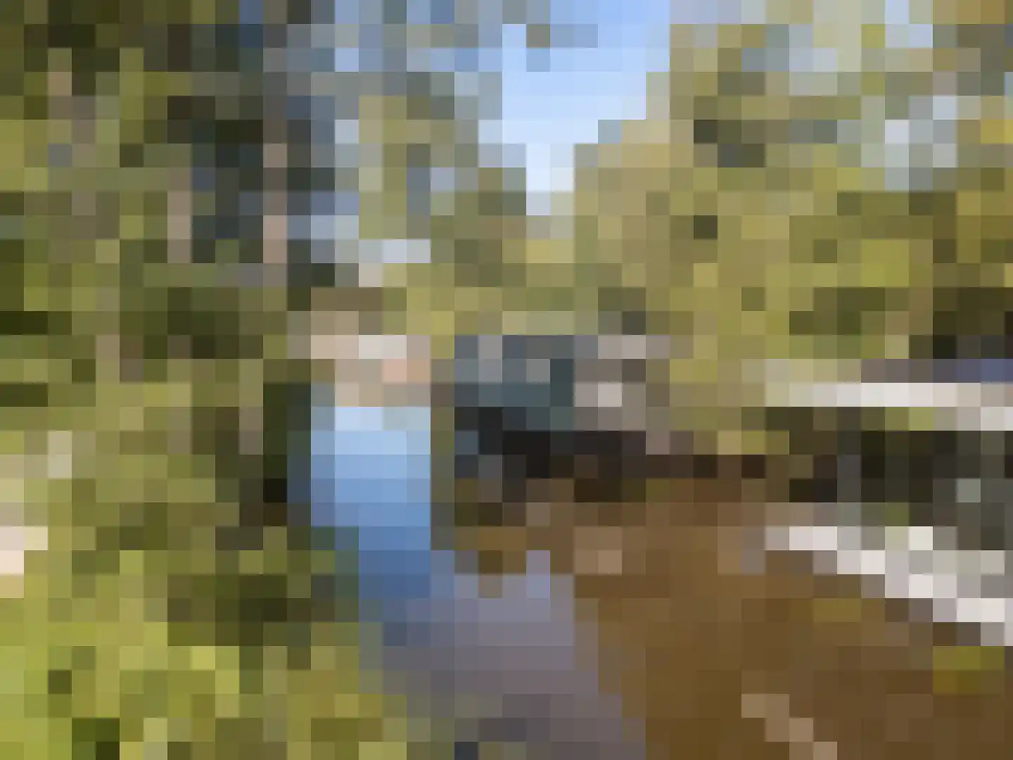 De Rietlanden 1 f Giethoorn thumbnail 58