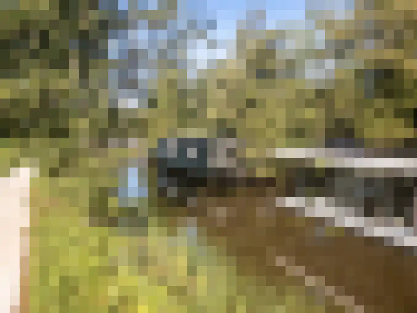 De Rietlanden 1 f Giethoorn thumbnail 59