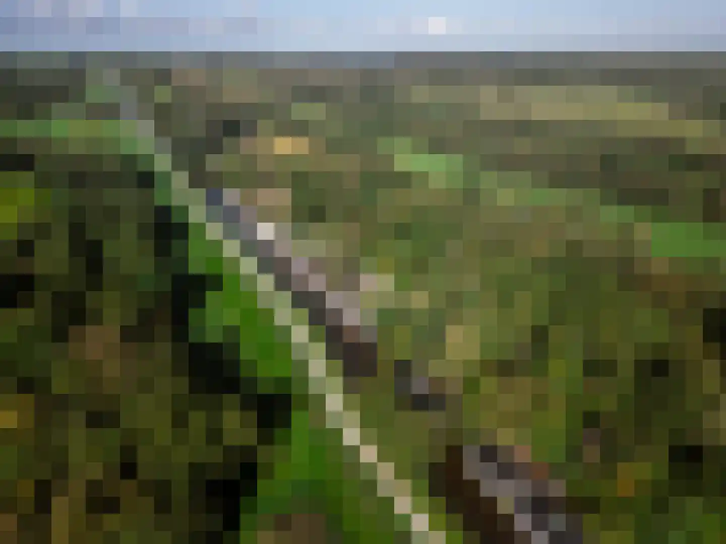 De Rietlanden 1 f Giethoorn thumbnail 60