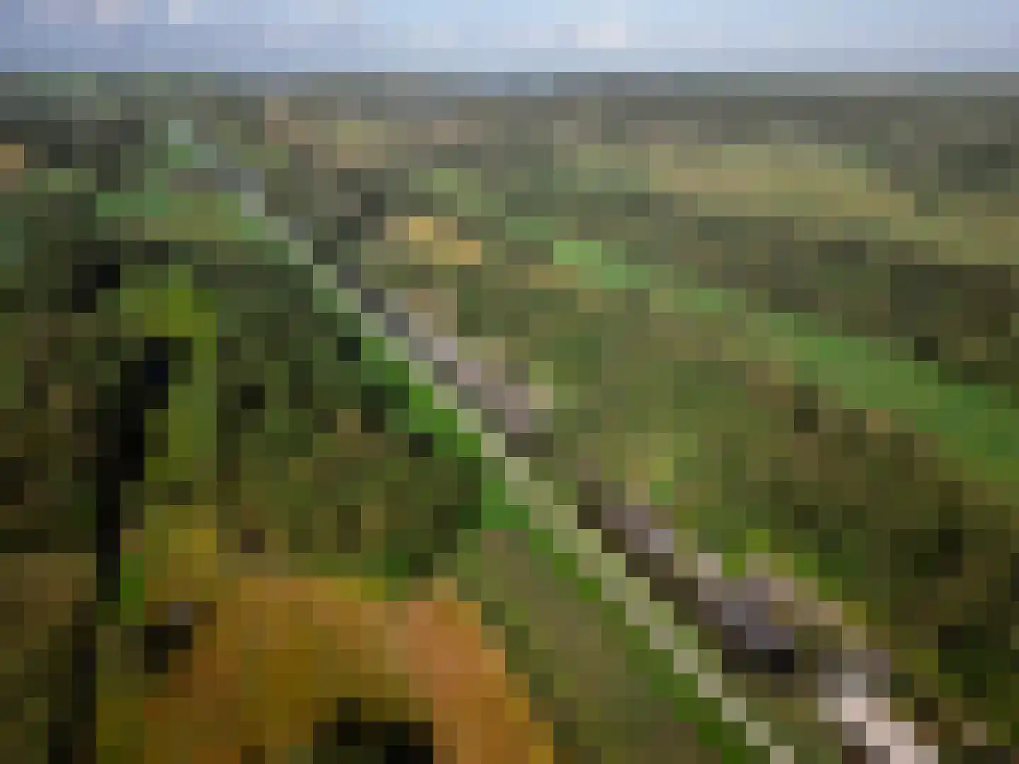 De Rietlanden 1 f Giethoorn thumbnail 61