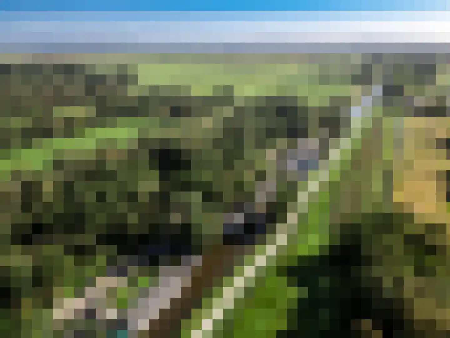 De Rietlanden 1 f Giethoorn thumbnail 62