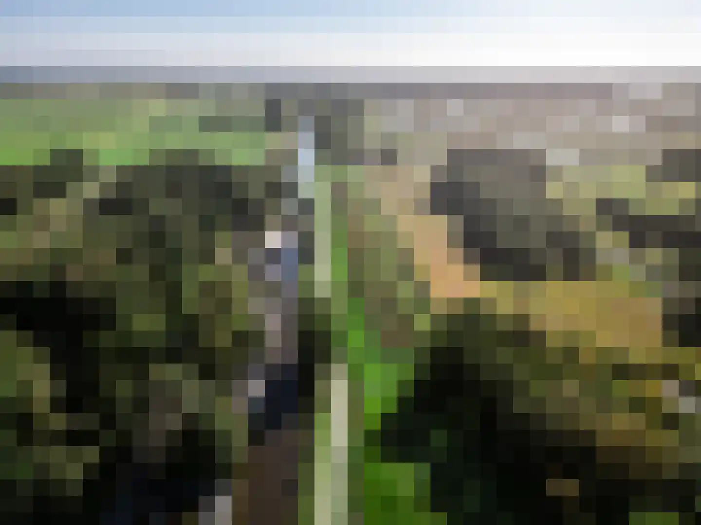 De Rietlanden 1 f Giethoorn thumbnail 63