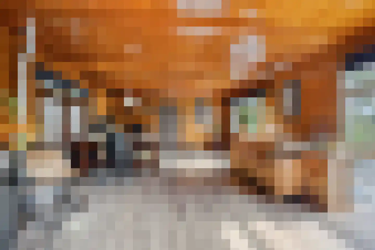 De Rietlanden 1 f Giethoorn thumbnail 9