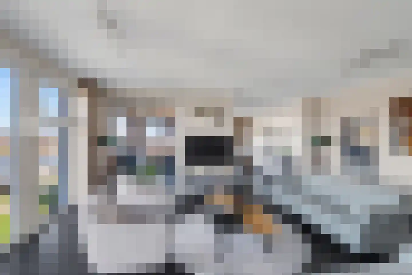 de Rietmattenmaker 17 Raamsdonksveer thumbnail 13