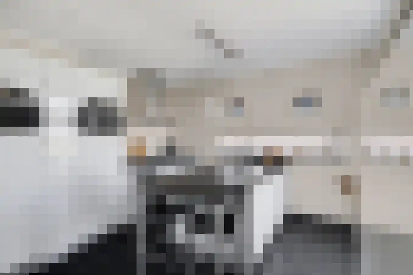 de Rietmattenmaker 17 Raamsdonksveer thumbnail 21