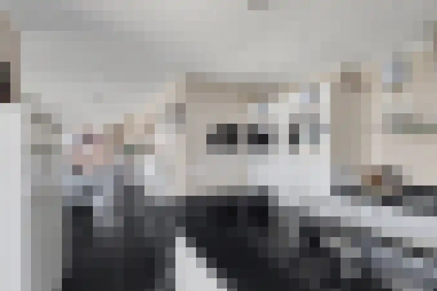 de Rietmattenmaker 17 Raamsdonksveer thumbnail 23