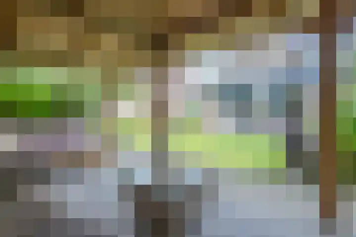 De Rietput 26 Vuren thumbnail 23