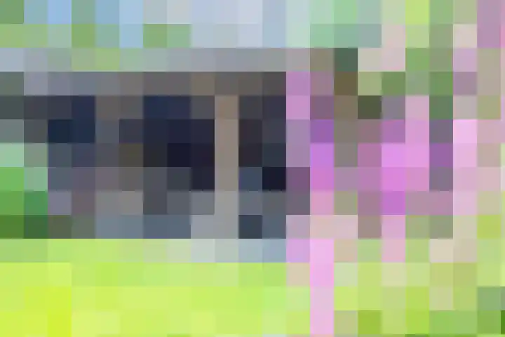 De Rietput 26 Vuren thumbnail 25