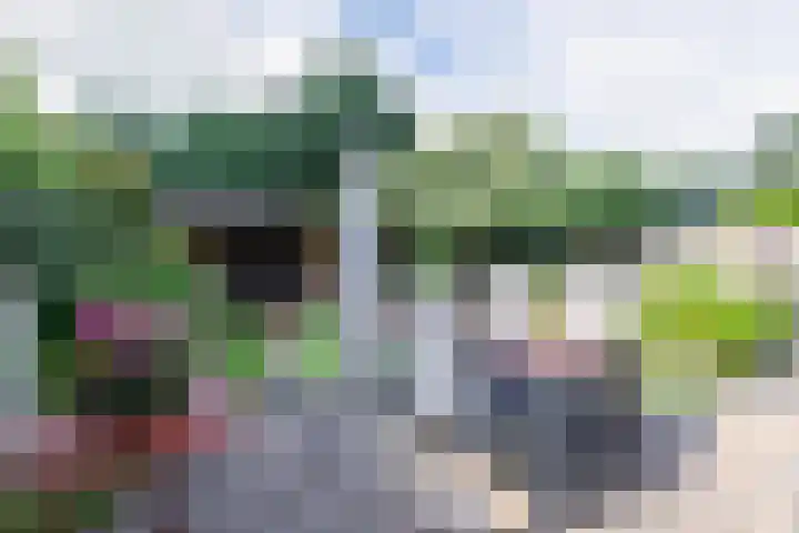 De Rietput 26 Vuren thumbnail 26