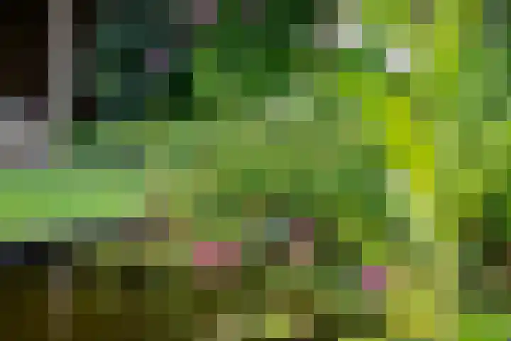 De Rietput 26 Vuren thumbnail 27