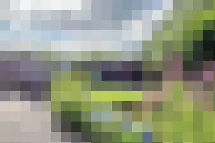 De Rietput 26 Vuren thumbnail 4