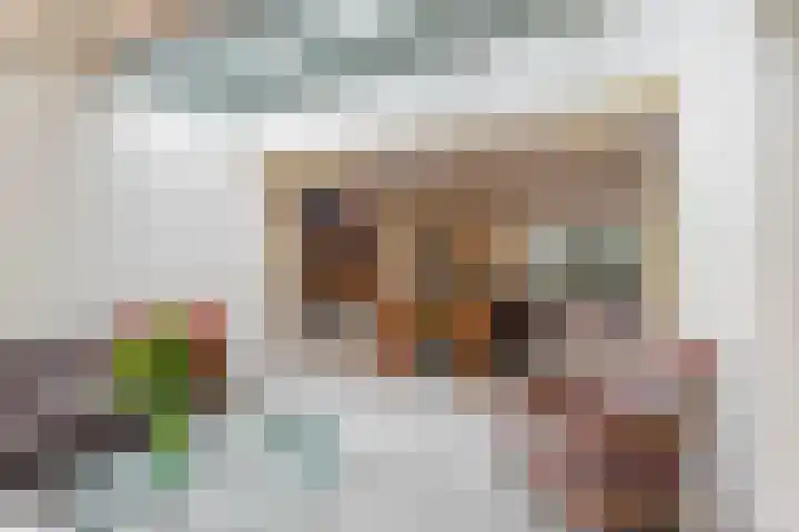 De Rietvink 11 Heiloo thumbnail 25