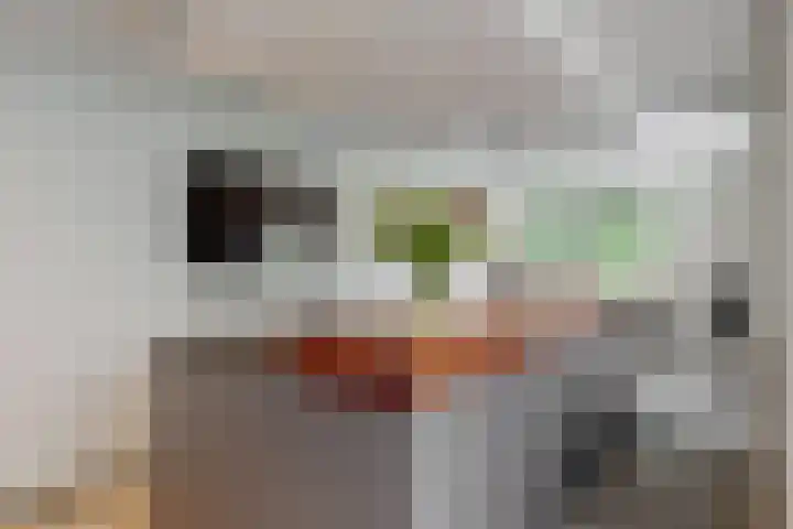De Rietvink 11 Heiloo thumbnail 27