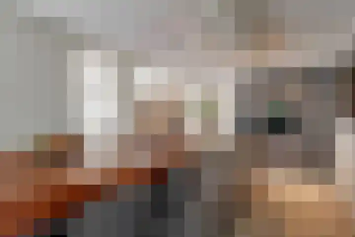 De Rietvink 11 Heiloo thumbnail 28
