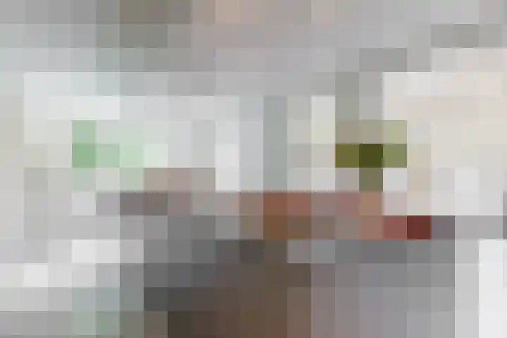 De Rietvink 11 Heiloo thumbnail 30