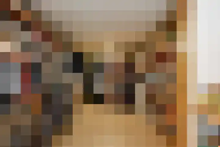 De Rietvink 11 Heiloo thumbnail 32