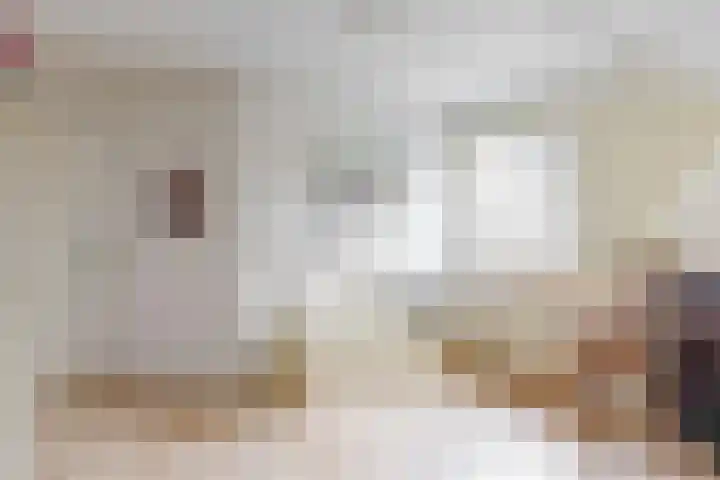 De Rietvink 11 Heiloo thumbnail 53