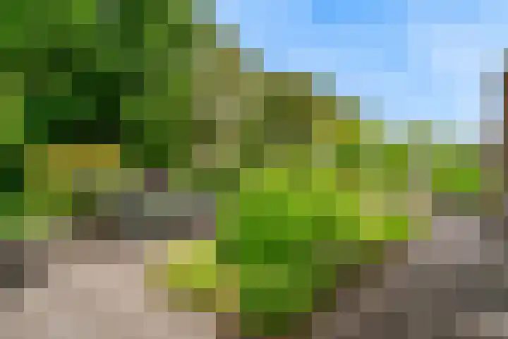 De Rietvink 11 Heiloo thumbnail 64