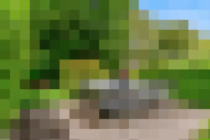 De Rietvink 11 Heiloo thumbnail 65