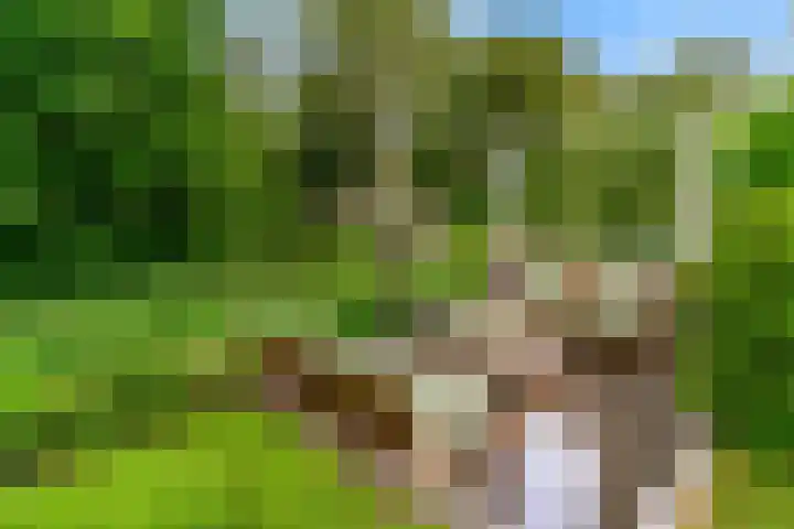 De Rietvink 11 Heiloo thumbnail 70