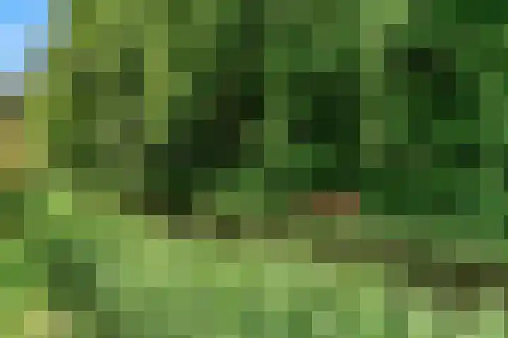 De Rietvink 11 Heiloo thumbnail 73