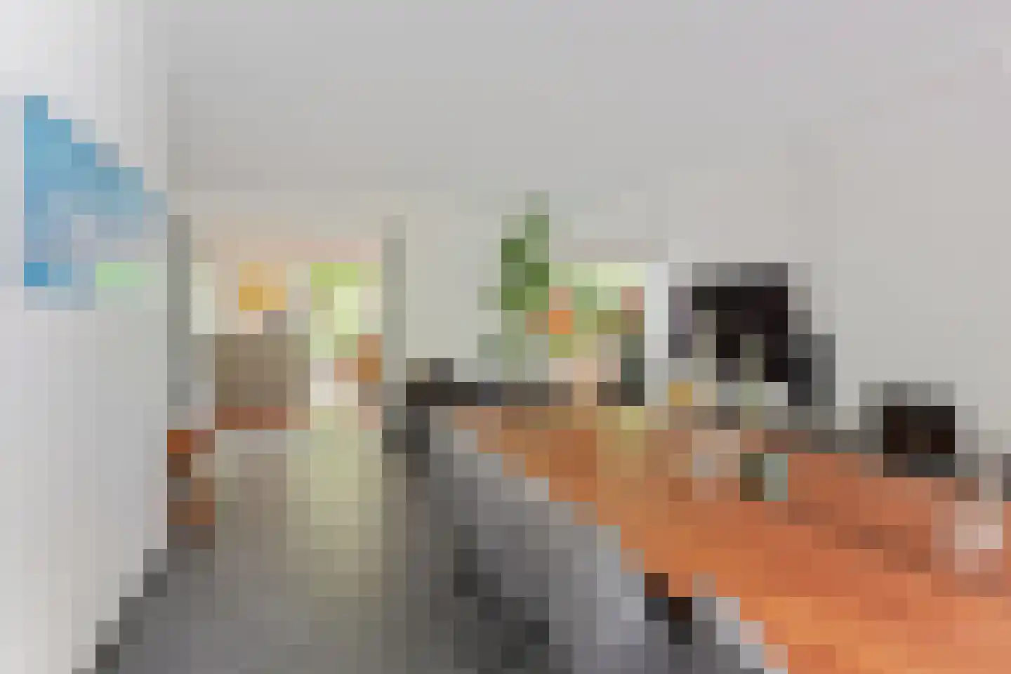 De Rietvink 18 Heiloo thumbnail 11