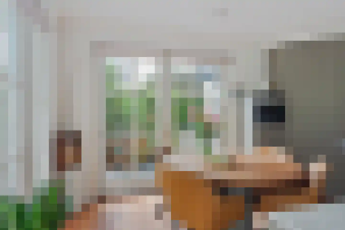 De Rietvink 18 Heiloo thumbnail 27