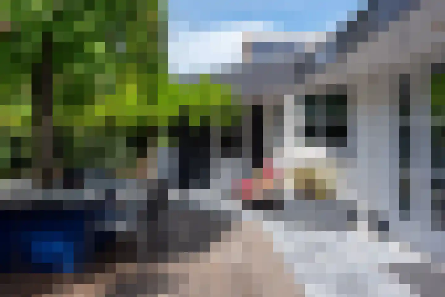 De Rietvink 18 Heiloo thumbnail 56