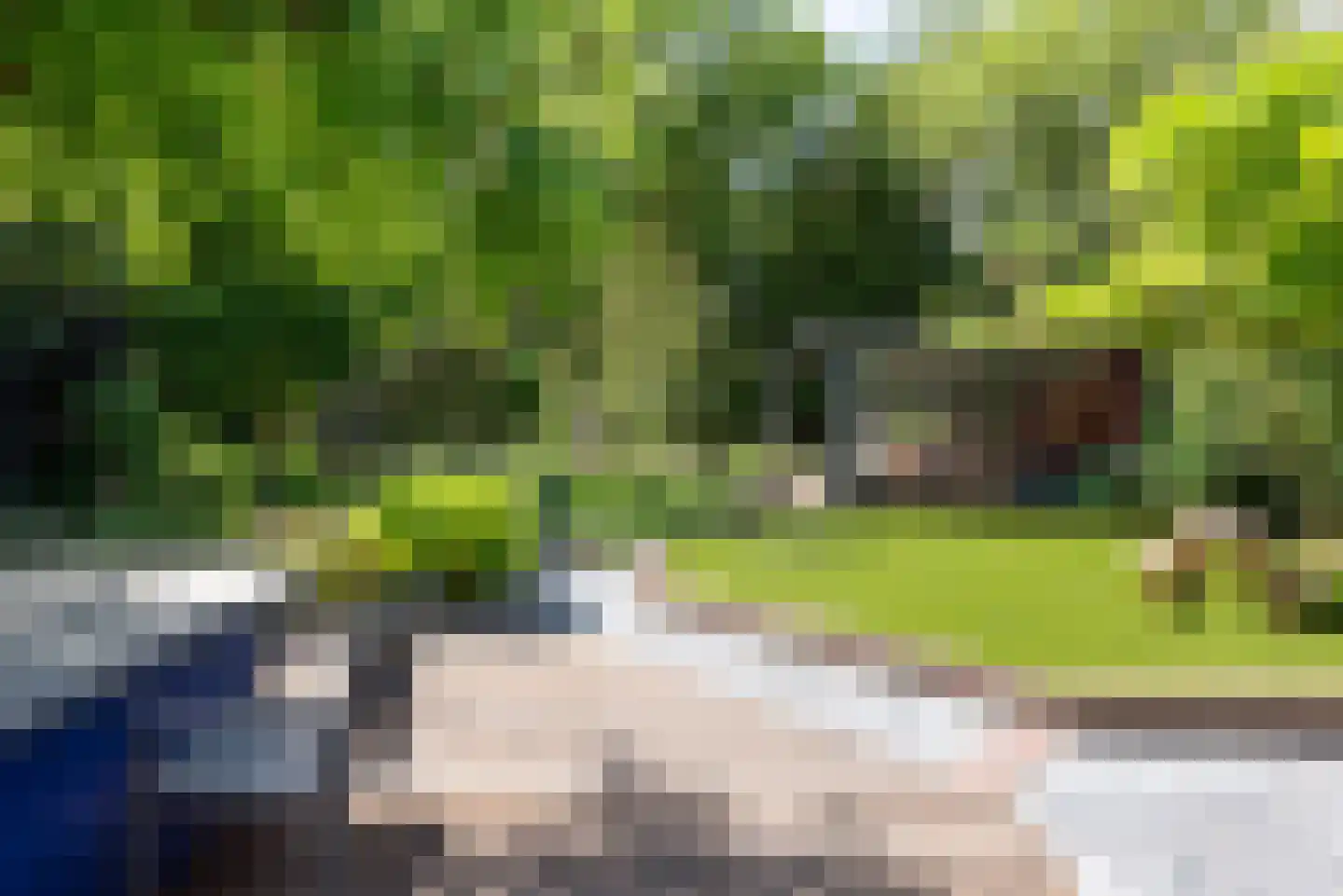 De Rietvink 18 Heiloo thumbnail 59