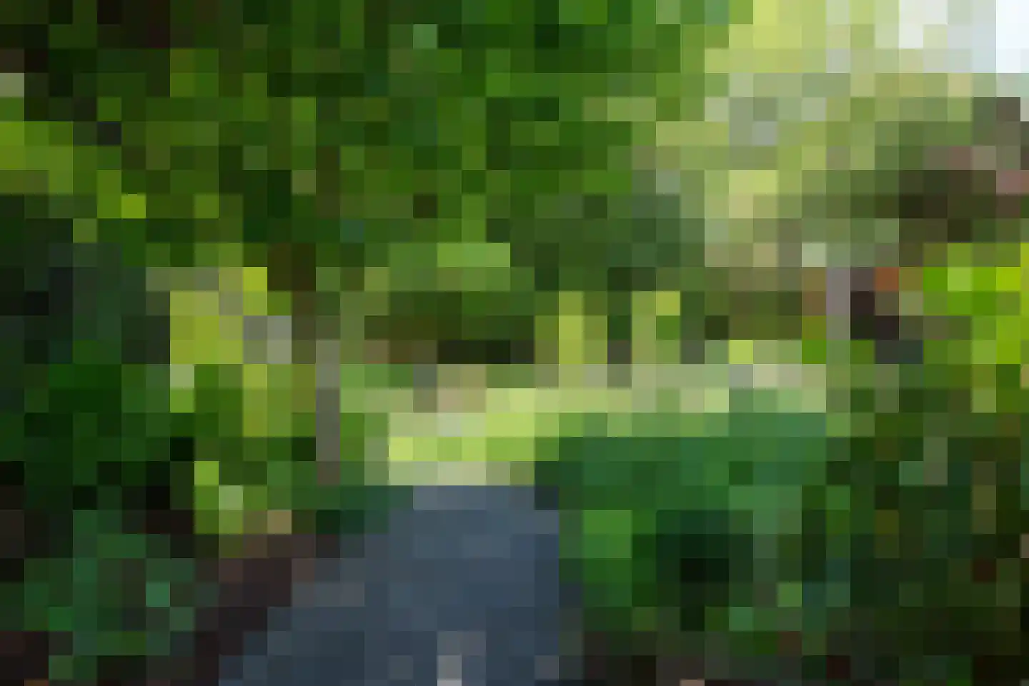 De Rietvink 18 Heiloo thumbnail 60