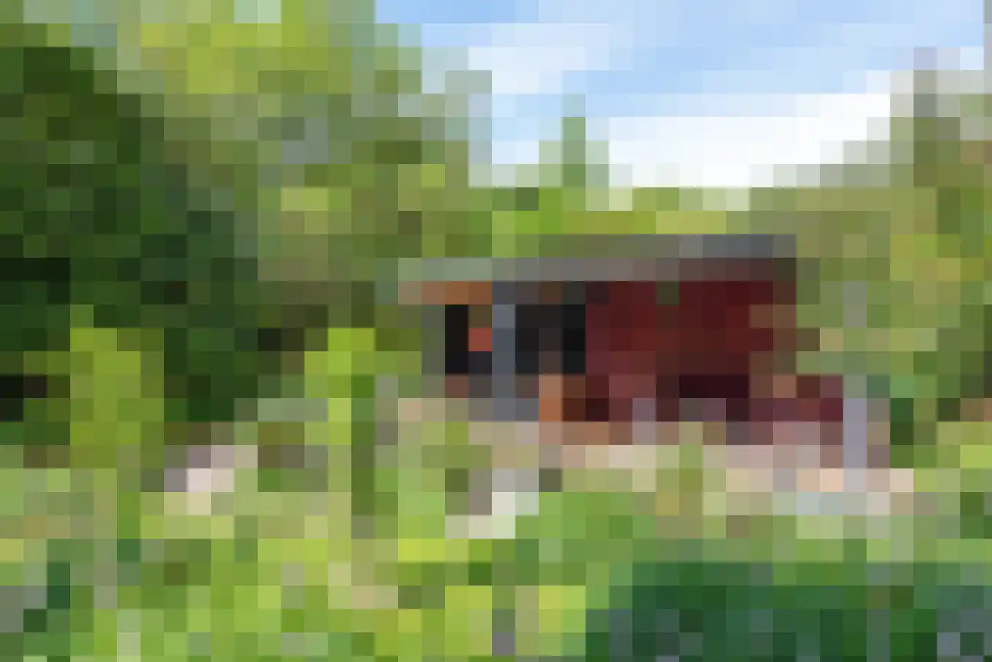 De Rietvink 18 Heiloo thumbnail 62