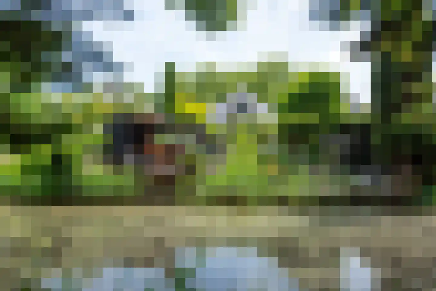 De Rietvink 18 Heiloo thumbnail 64