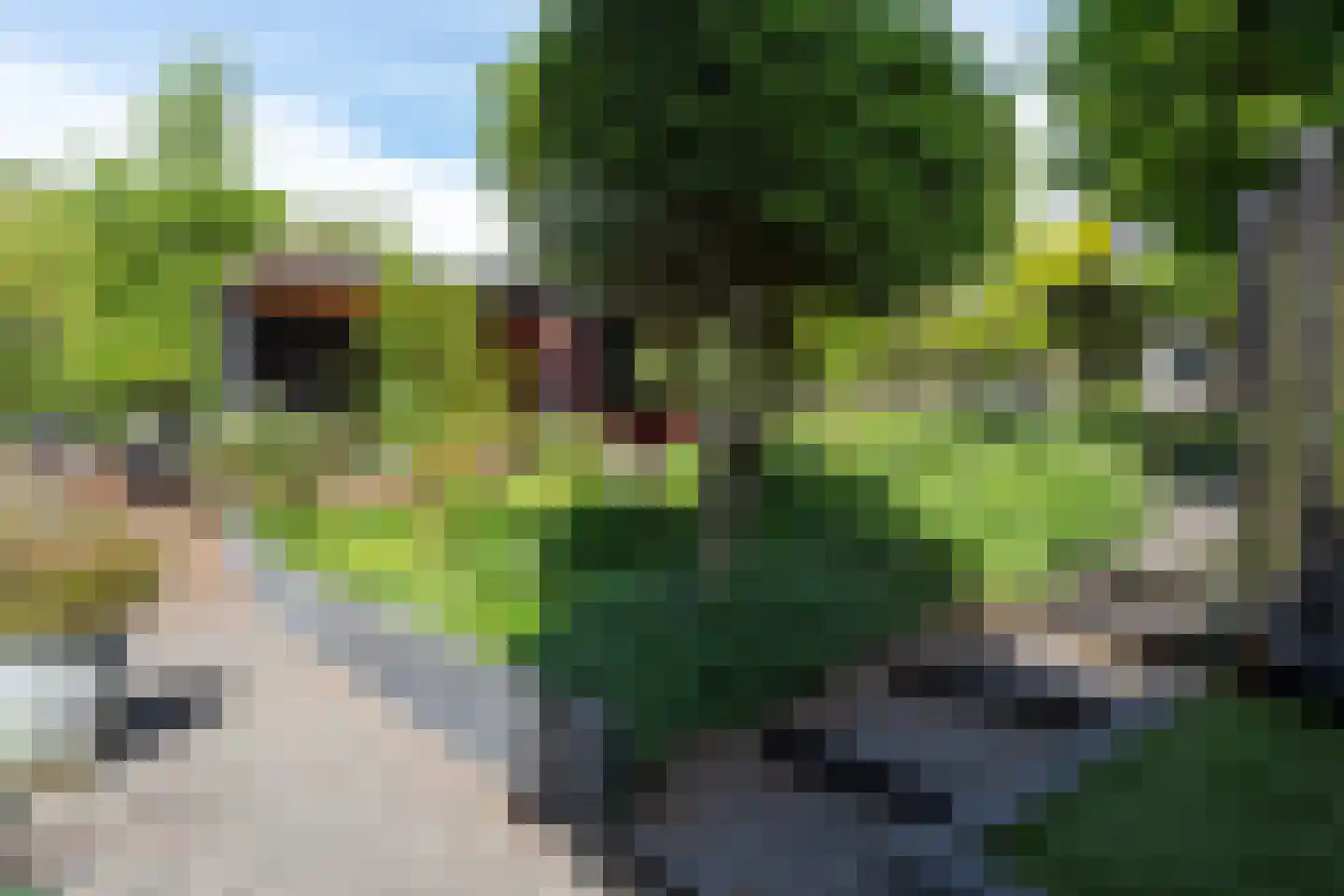 De Rietvink 18 Heiloo thumbnail 65