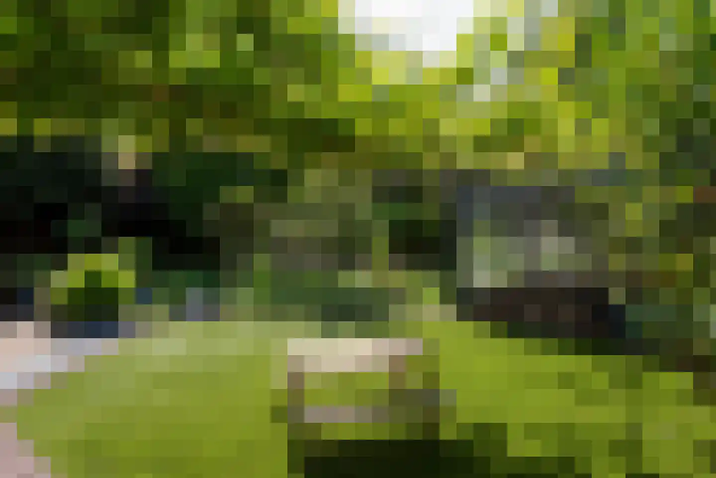 De Rietvink 18 Heiloo thumbnail 75