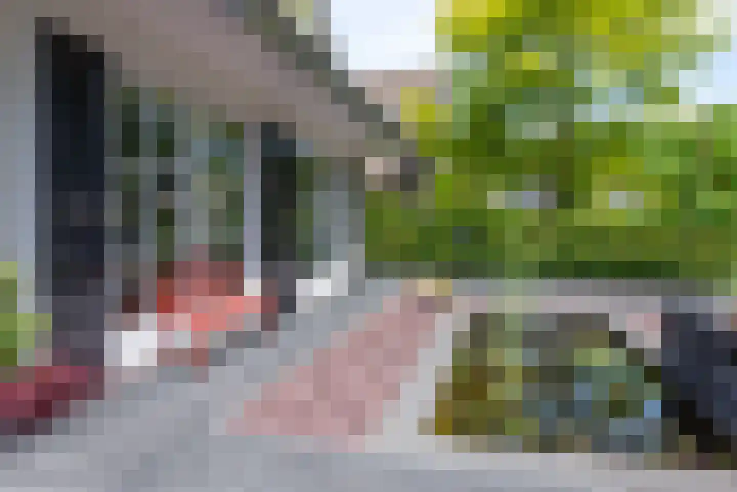 De Rietvink 18 Heiloo thumbnail 75