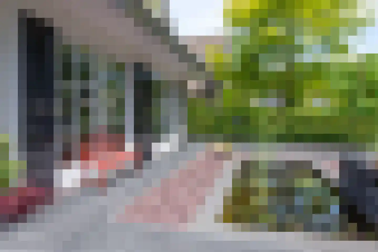 De Rietvink 18 Heiloo thumbnail 76