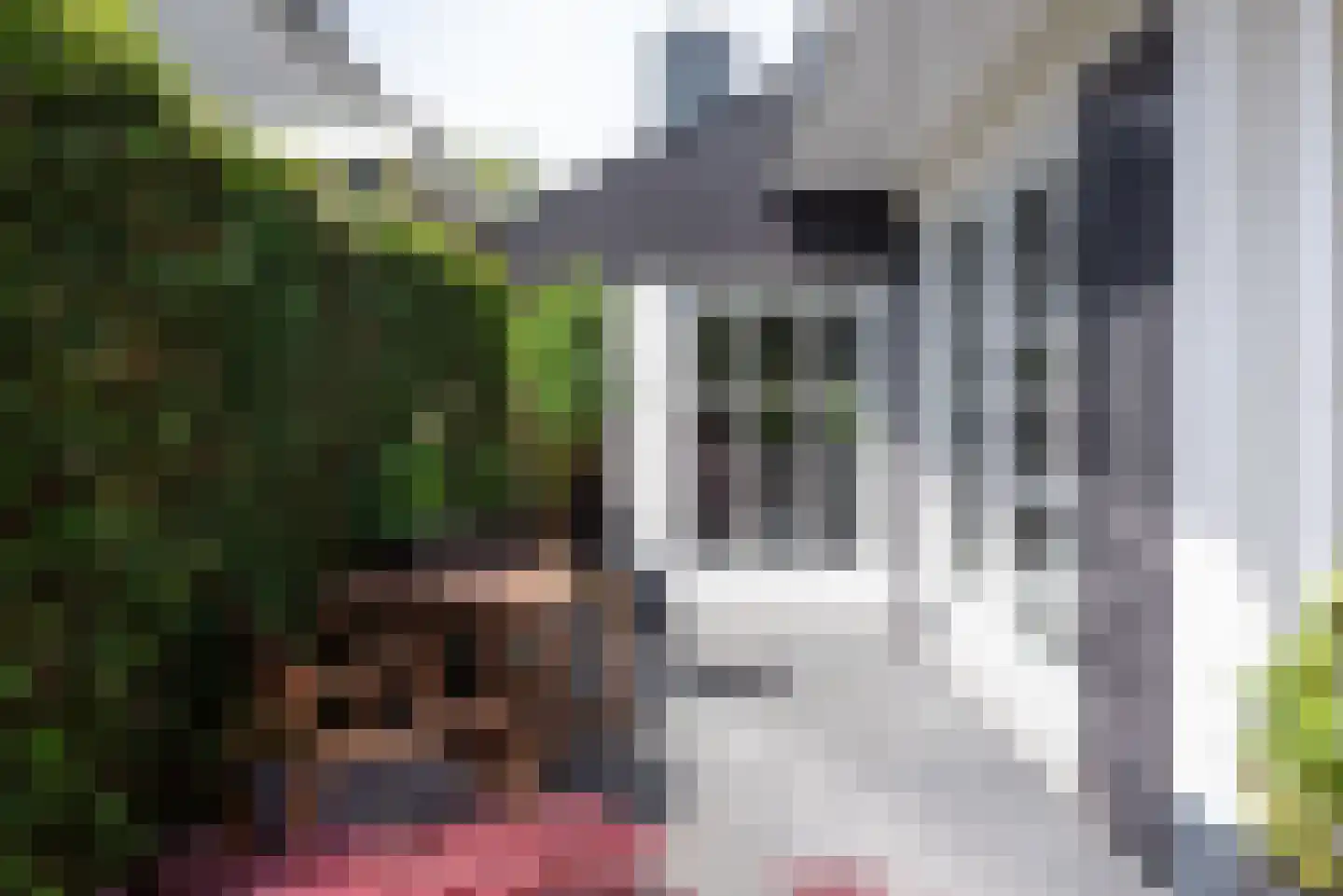 De Rietvink 18 Heiloo thumbnail 78