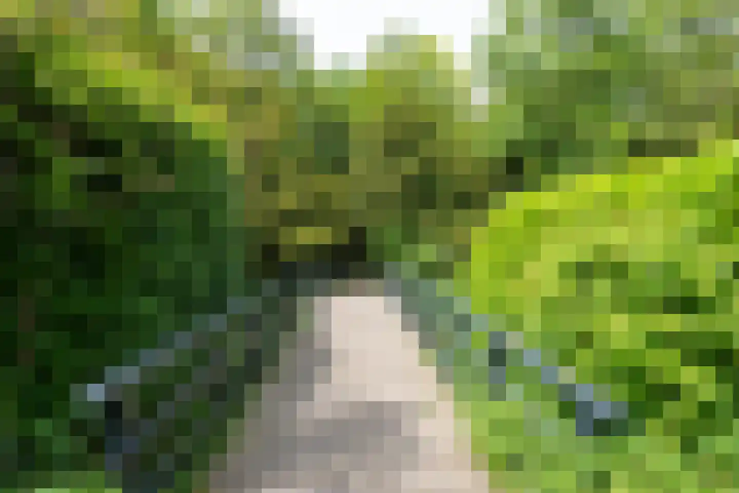 De Rietvink 18 Heiloo thumbnail 83