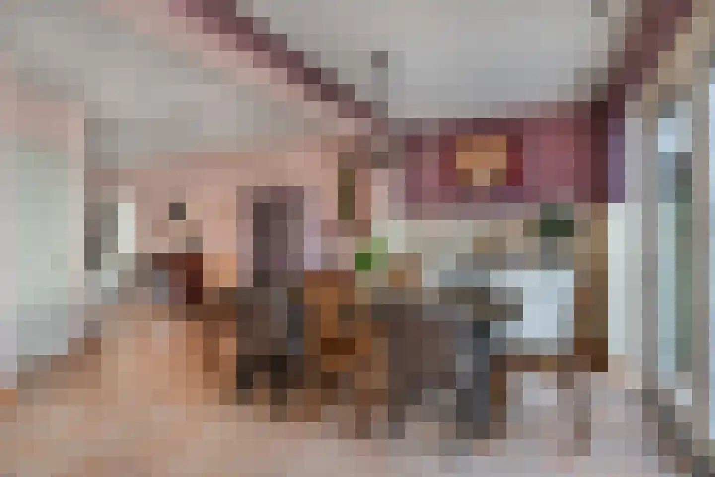 De Rietzanger 13 Sint-Michielsgestel thumbnail 10