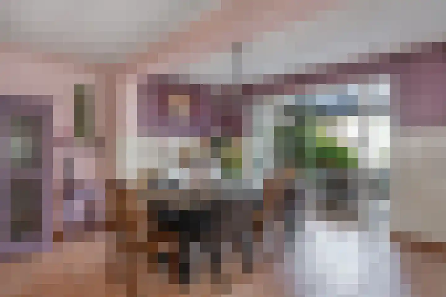 De Rietzanger 13 Sint-Michielsgestel thumbnail 11