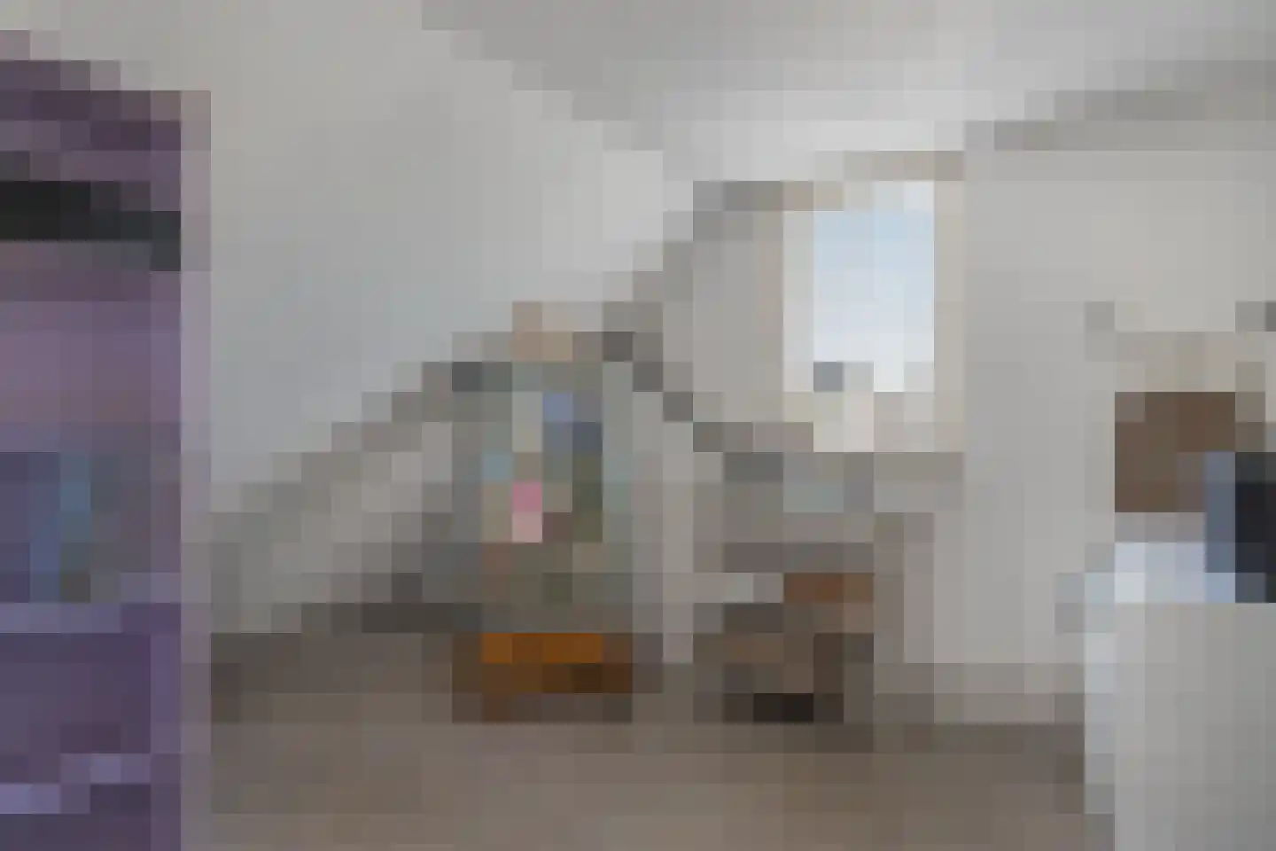 De Rietzanger 13 Sint-Michielsgestel thumbnail 22