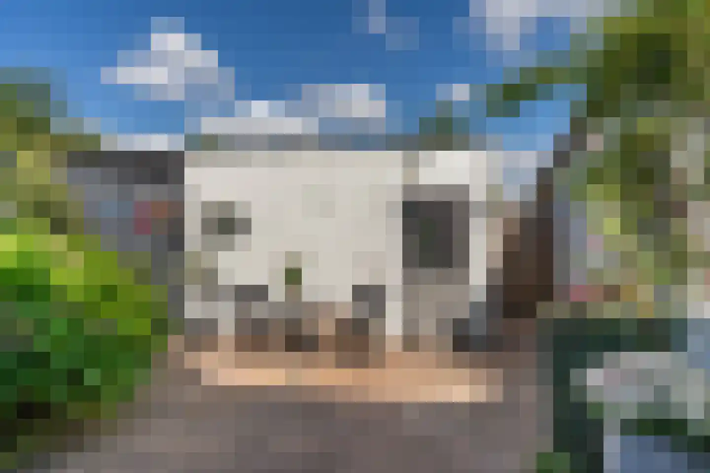 De Rietzanger 13 Sint-Michielsgestel thumbnail 27