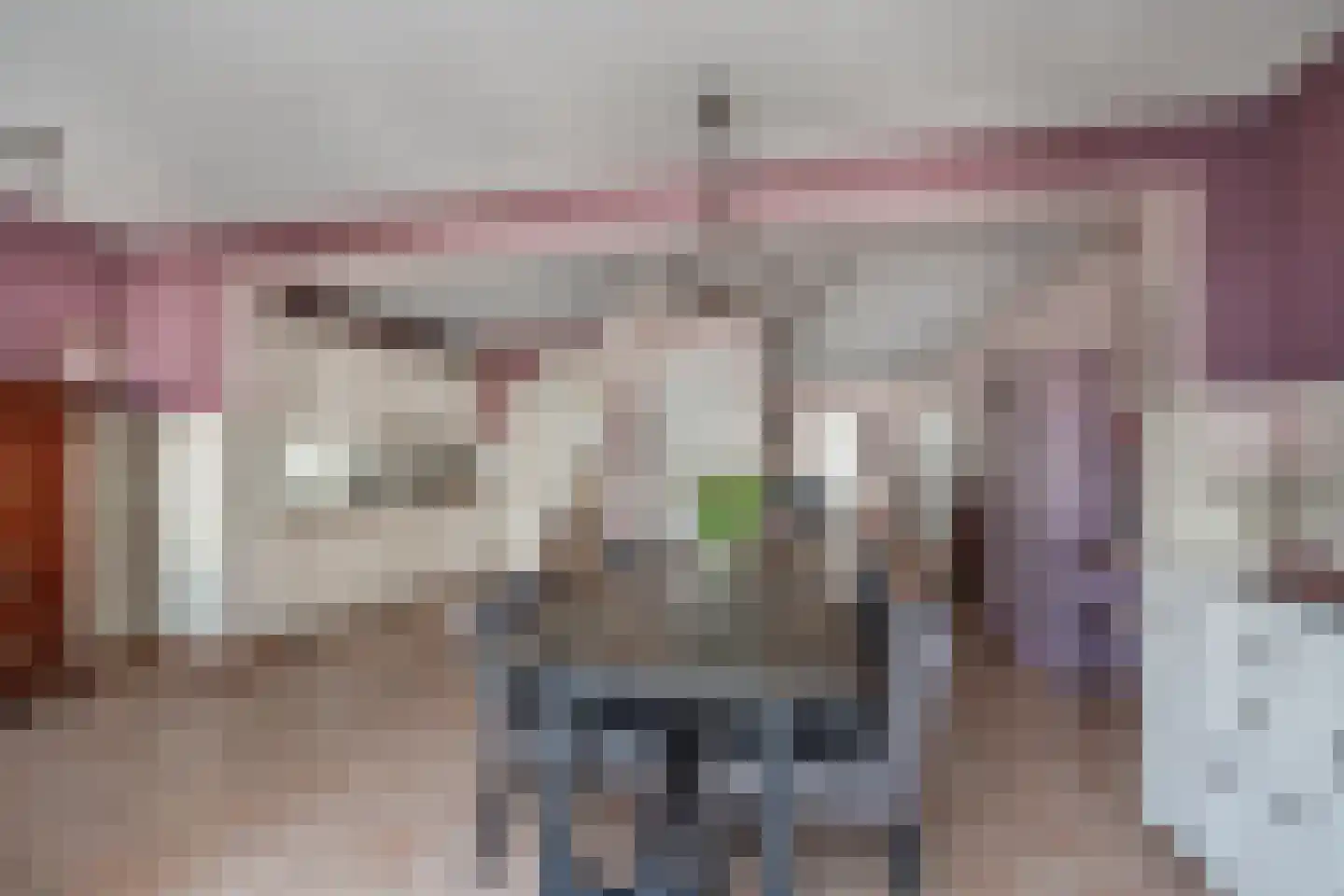 De Rietzanger 13 Sint-Michielsgestel thumbnail 4
