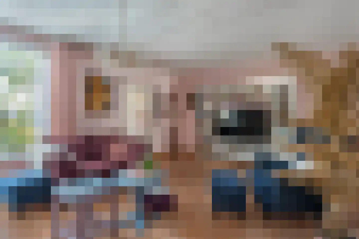 De Rietzanger 13 Sint-Michielsgestel thumbnail 8