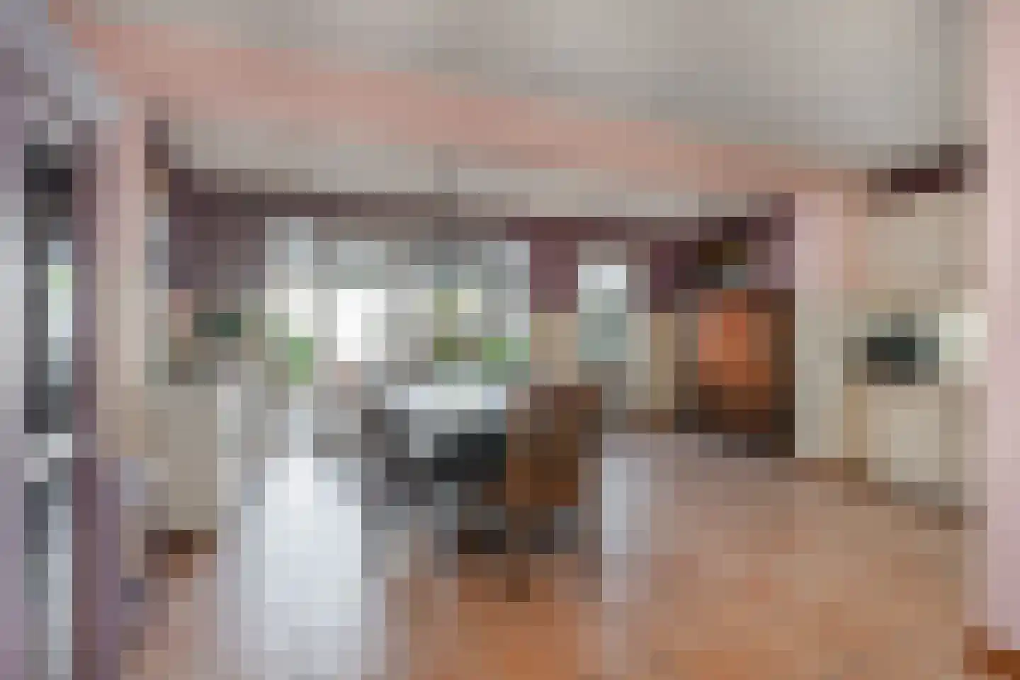 De Rietzanger 13 Sint-Michielsgestel thumbnail 9